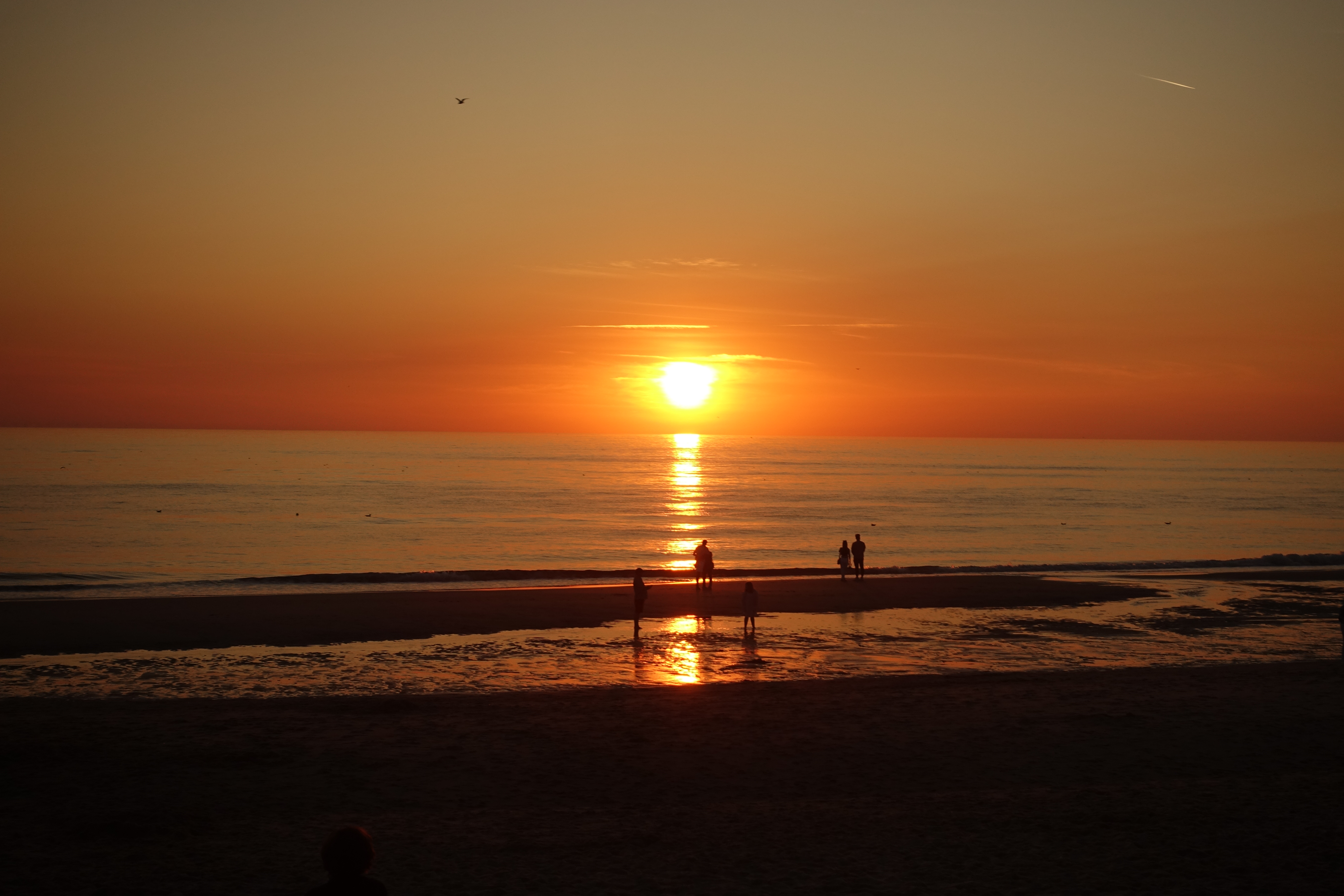 Sylt 